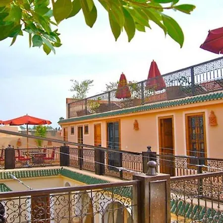 Riad Rabahsadia-2
