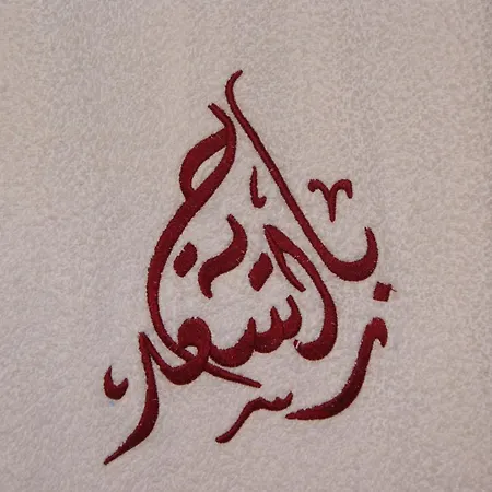 Riad Rabahsadia-3